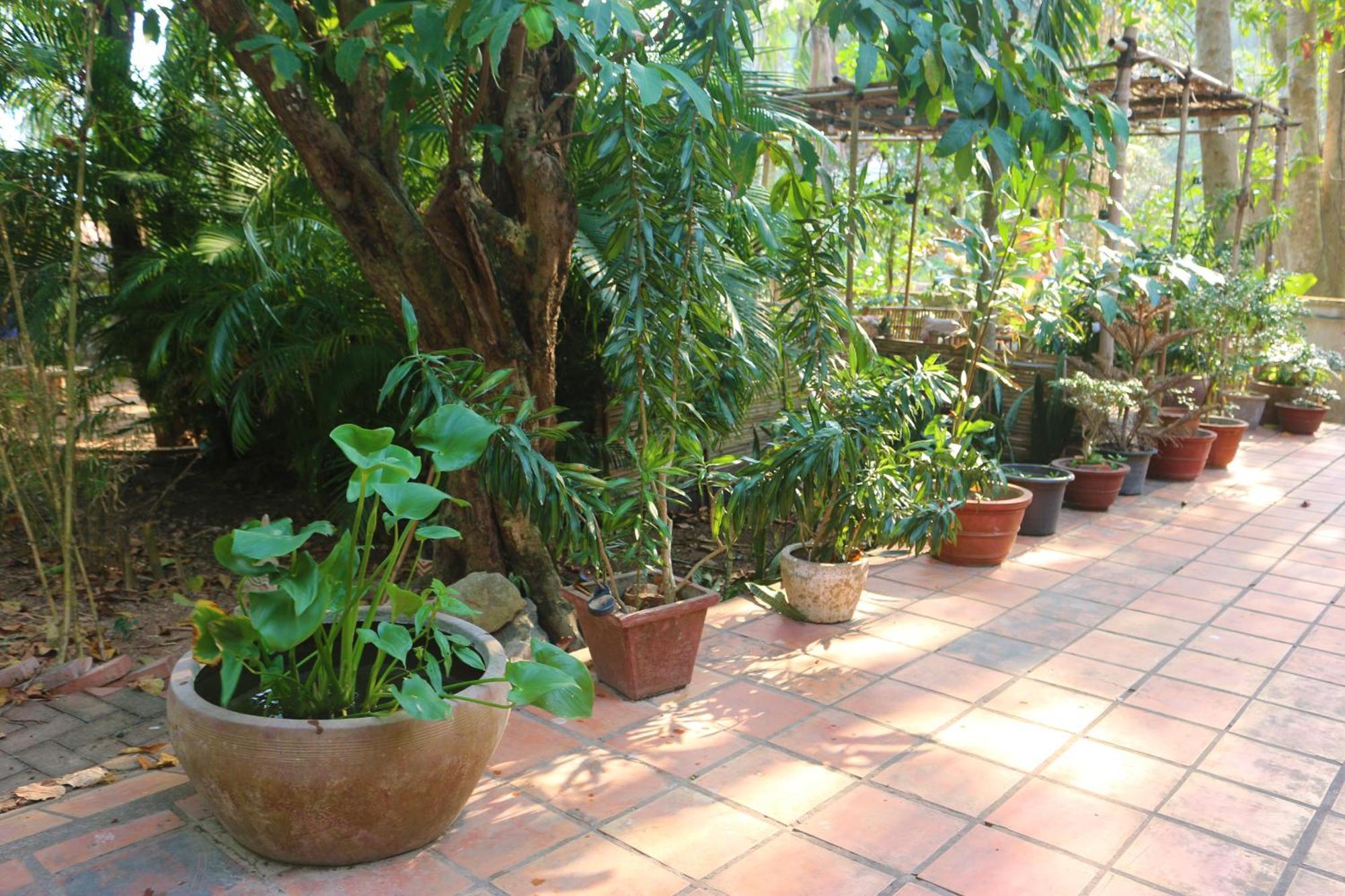 Hotel Casa Kep Extérieur photo
