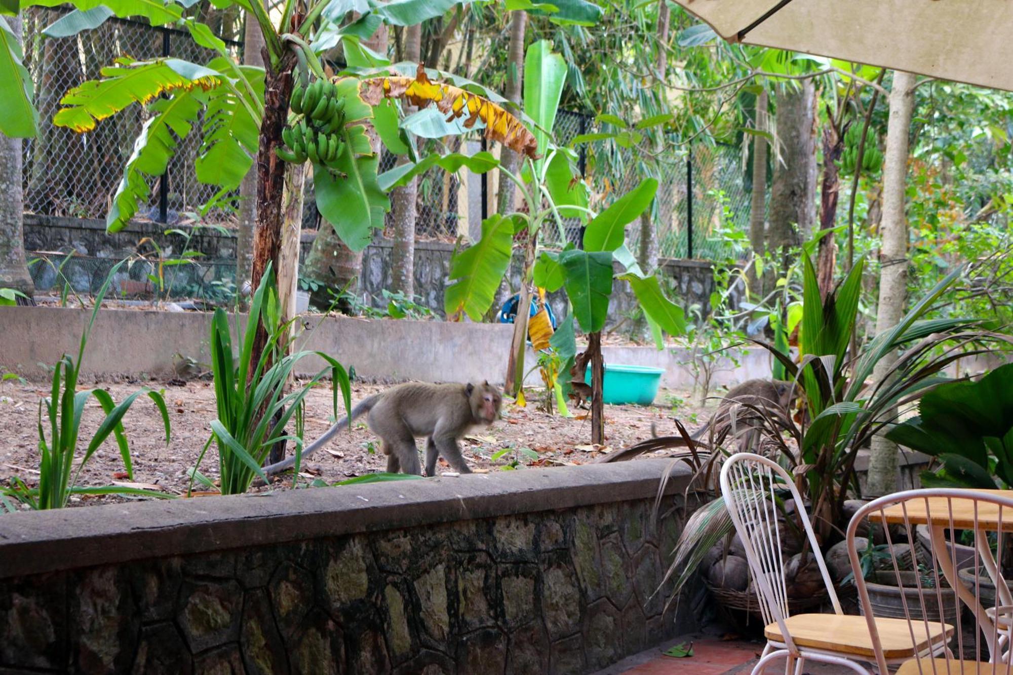 Hotel Casa Kep Extérieur photo
