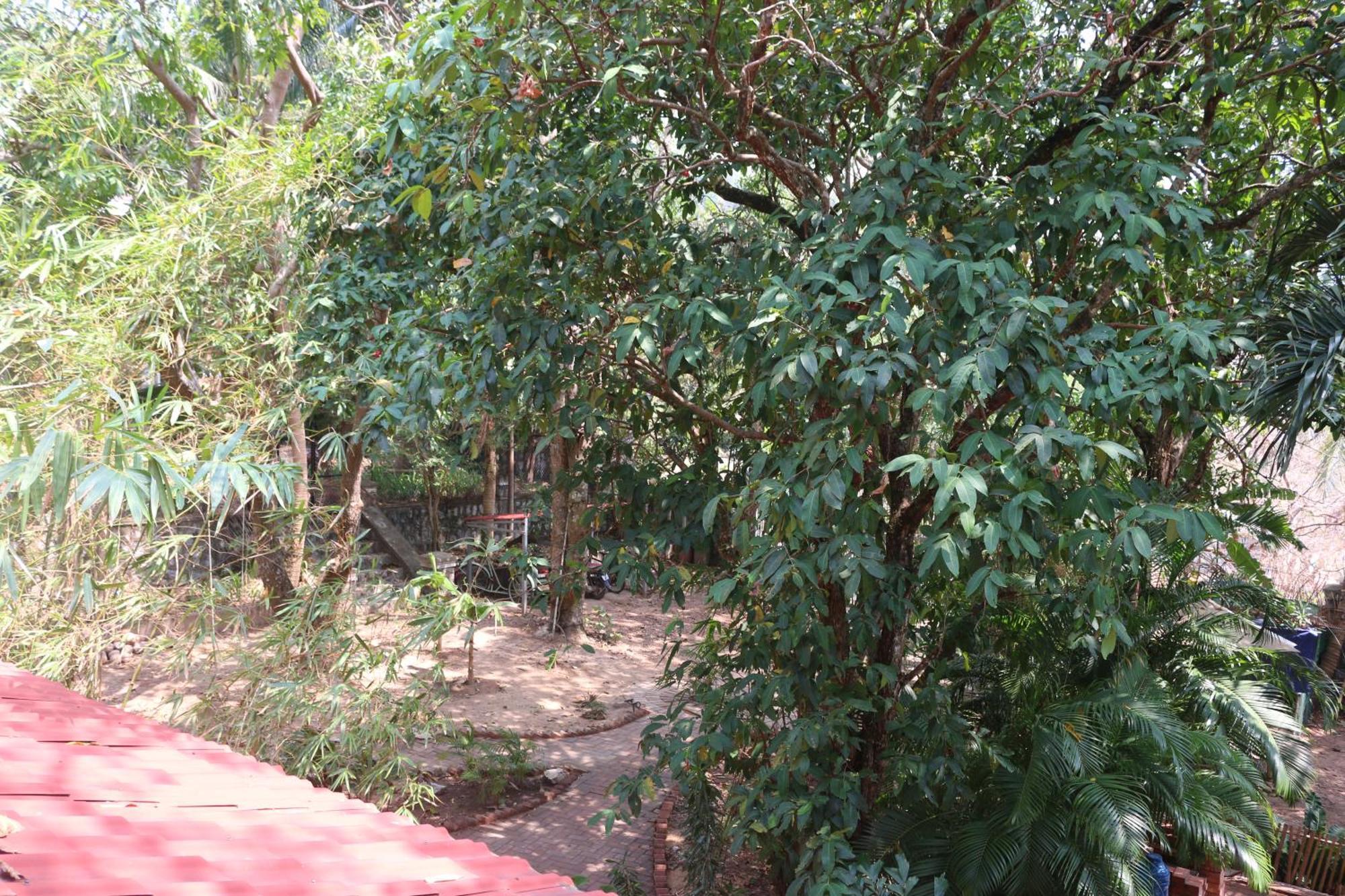 Hotel Casa Kep Extérieur photo